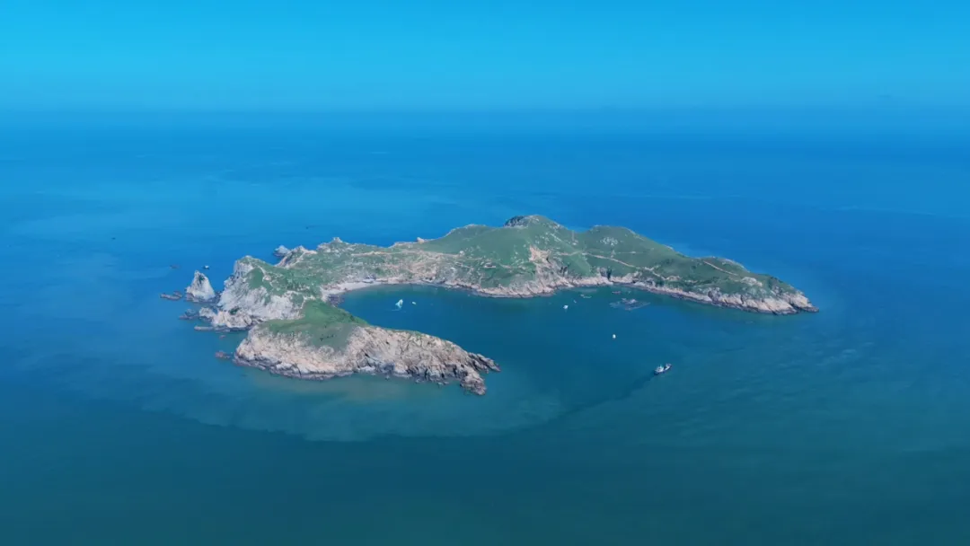 福建霞浦·东礵岛：藏在东海之上的荒野秘境，一半草原一半悬崖，海鸥与羊群为伴，像是现实版塞尔达！