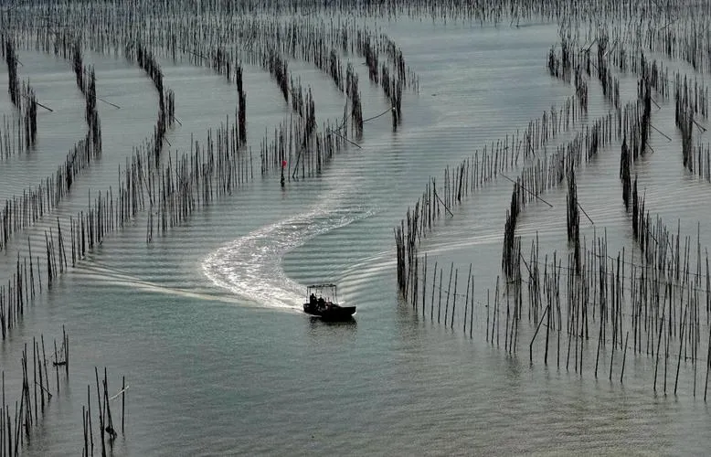 邂逅霞浦沙江S湾：潮汐作画，竹竿成诗，共赴一场滩涂上的光影之约