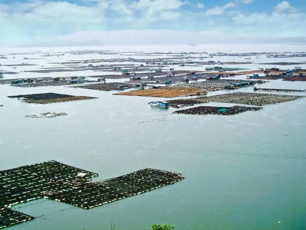 探秘霞浦“海上威尼斯”，在东安渔排看见不一样的生活