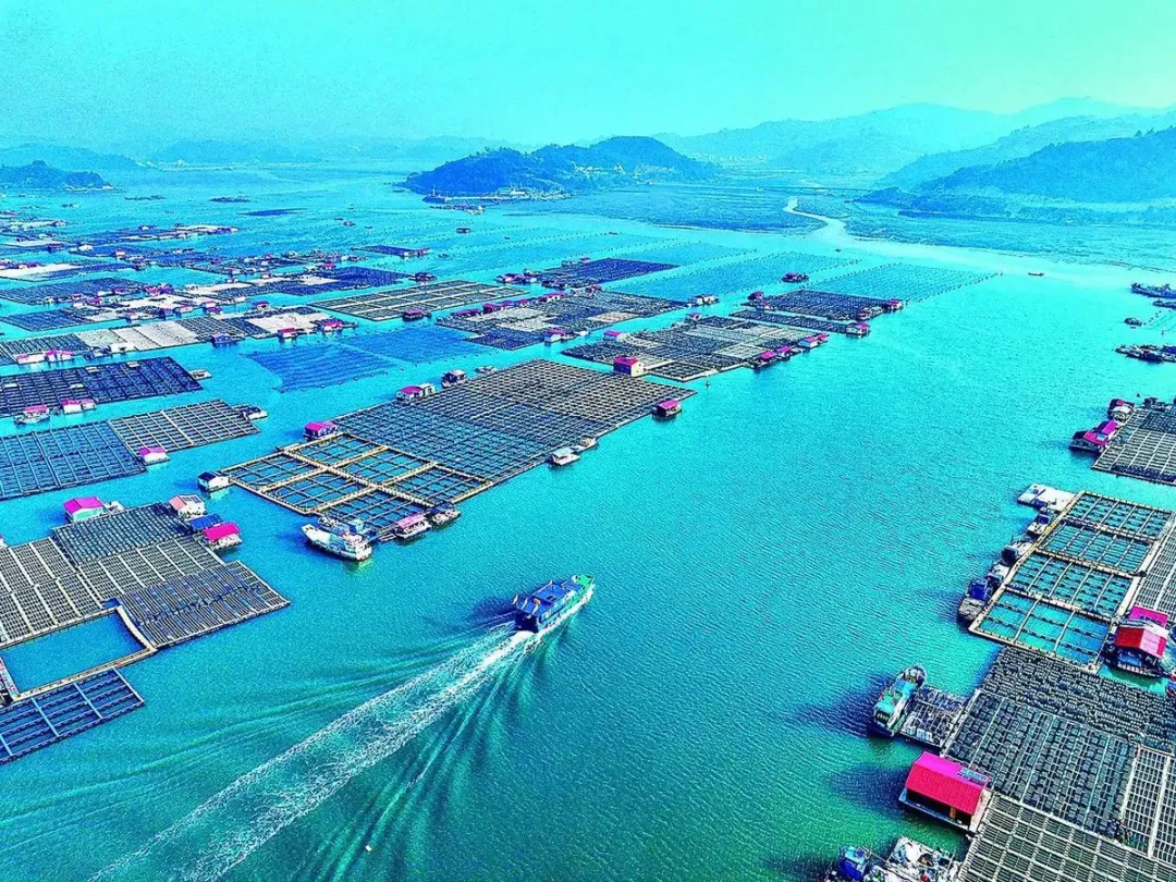 假期余额告急？霞浦这份山海治愈系攻略请收好
