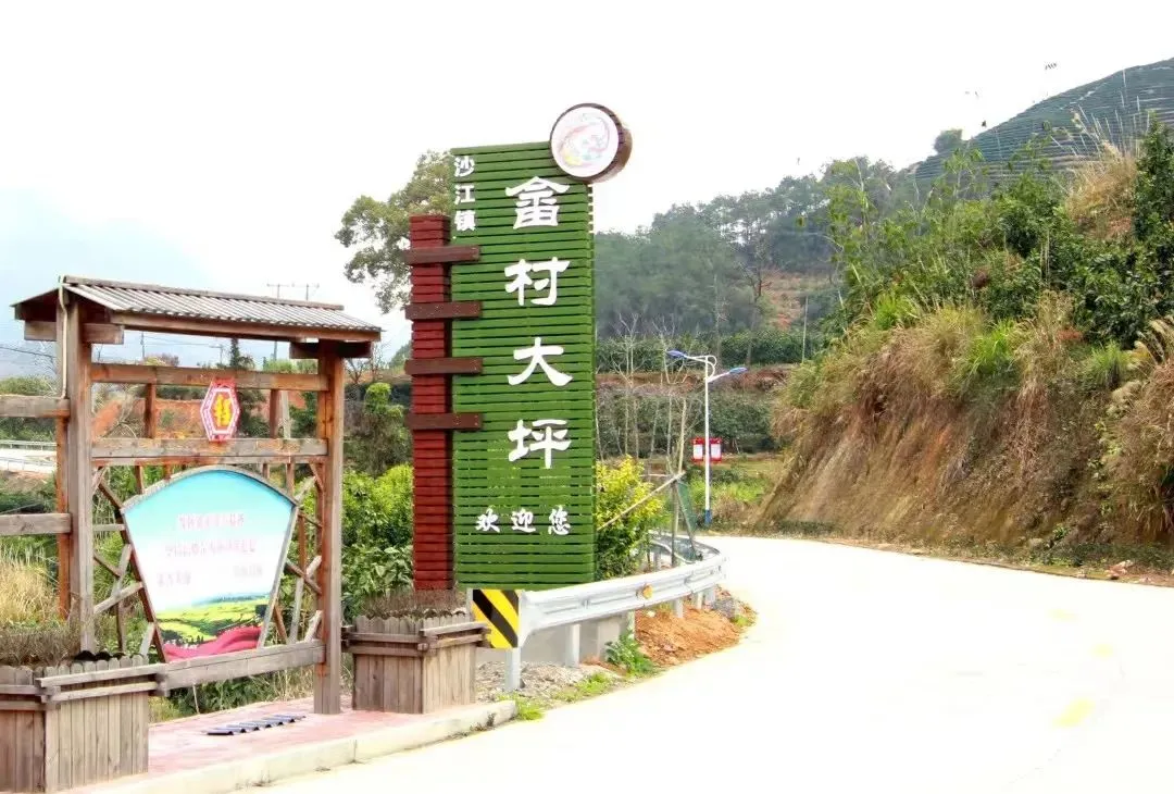在霞浦大坪村，我找到了比加班费更珍贵的东西：山间的风、畲族的歌与内心的宁静